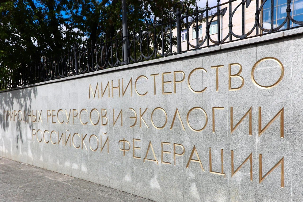 Экологические инициативы России в 2026 году: фокус на устойчивость
